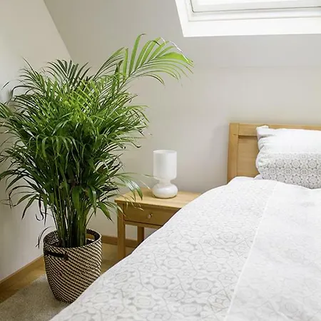 Appartement Spelzenhof - Im Obergeschoss Altdorf (Neustadt)